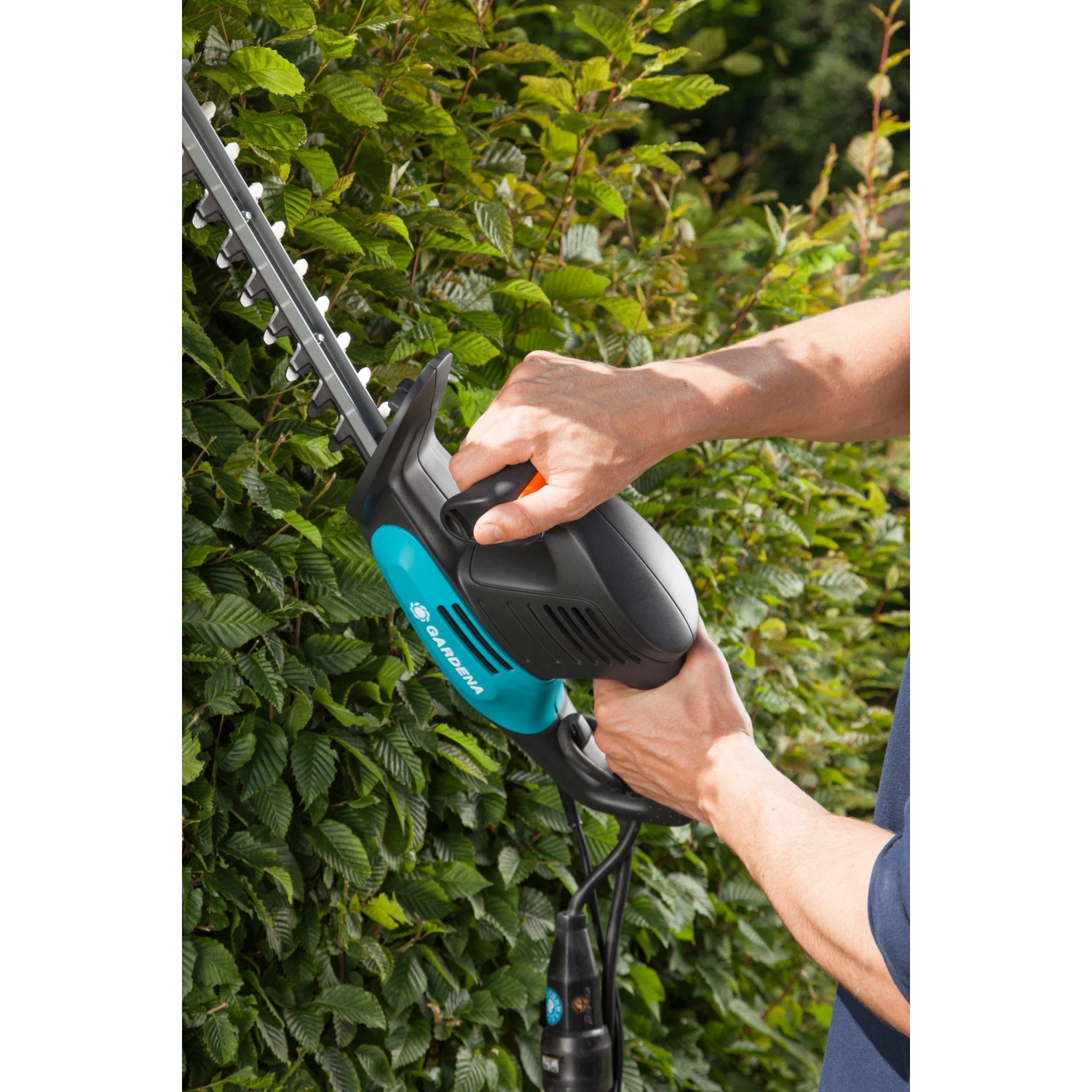 Elektryczne nożyce do żywopłotu Gardena EasyCut 420/45 w użyciu, przycinanie żywopłotu.