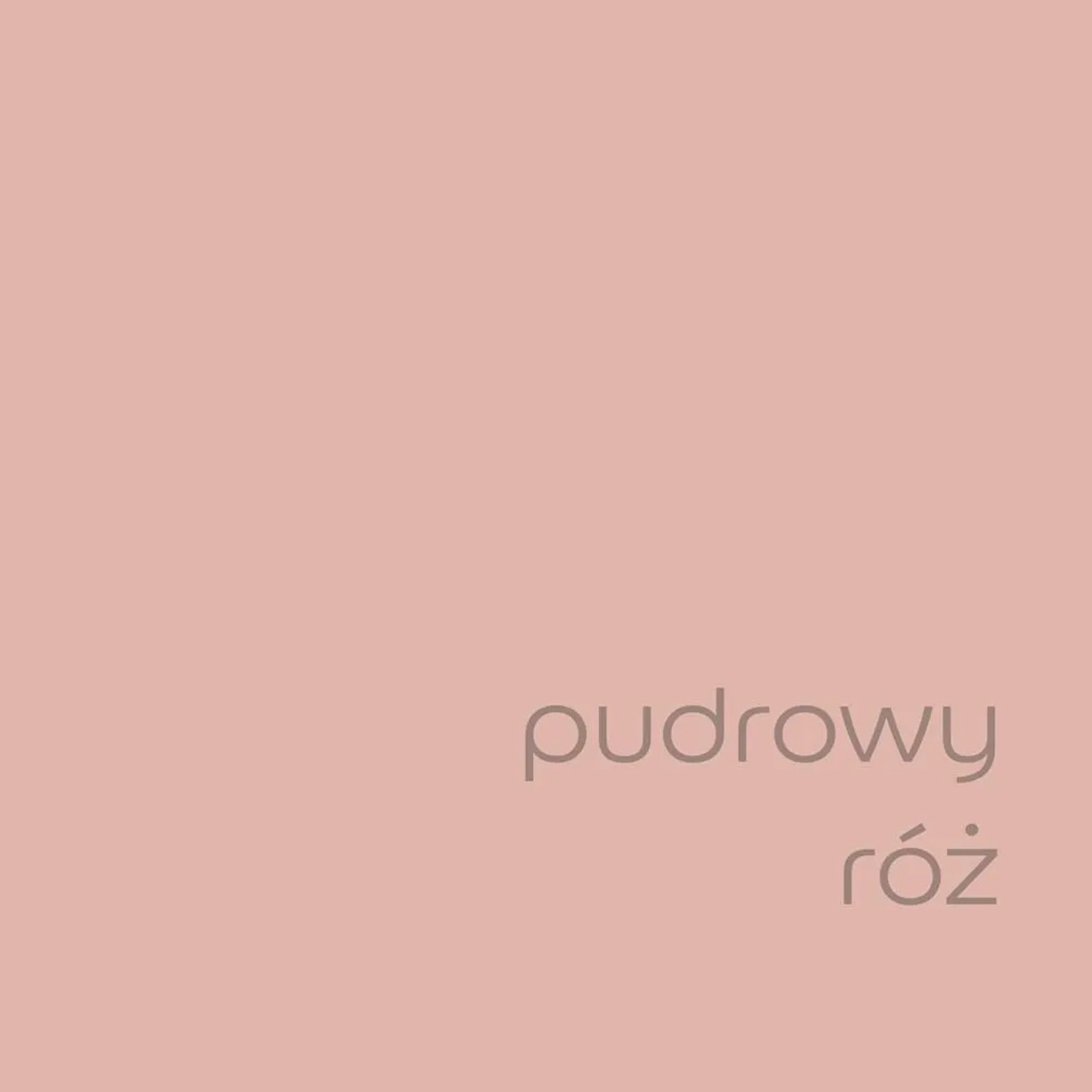 Próbka koloru farby do ścian t.b.t. w kolorze pudrowego różu.