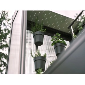 Blacha ochronna Biohort do szklarni Florentina, ciemnoszary metalik, z roślinami w doniczkach.
