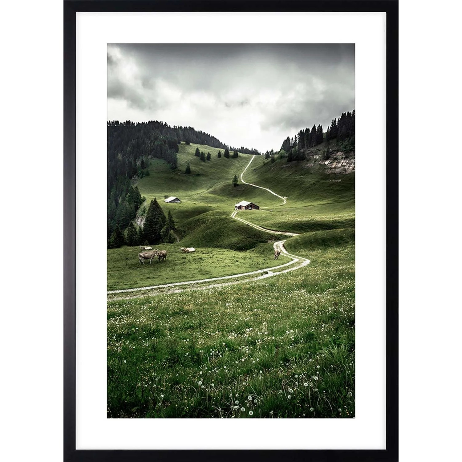 ARS LONGA Obraz PATH IN THE VALLEY 53 x 73 cm