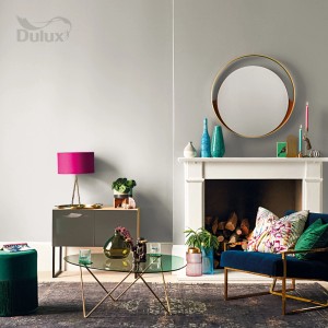 Salon w odcieniach szarości z kolorową farbą do ścian t.b.t. i pasującymi meblami.