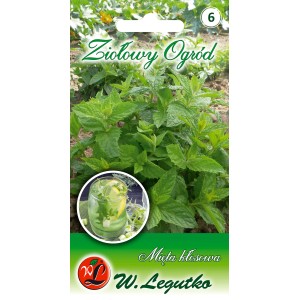 Opakowanie nasion mięty 't.b.t.' do ogrodu ziołowego. Idealne do herbaty i koktajli.