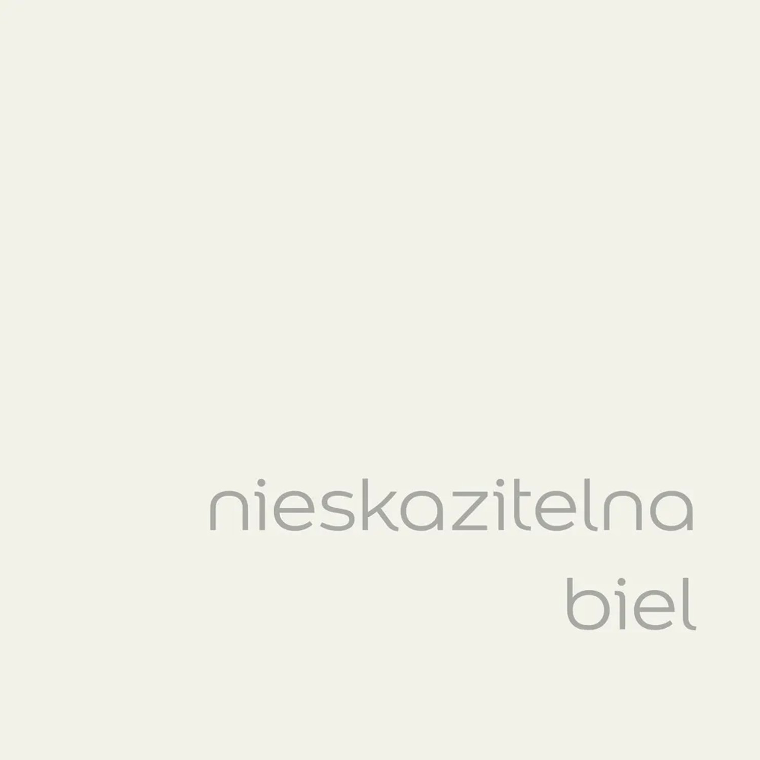Próbka koloru t.b.t. (Nieskazitelna biel) do farb ściennych.