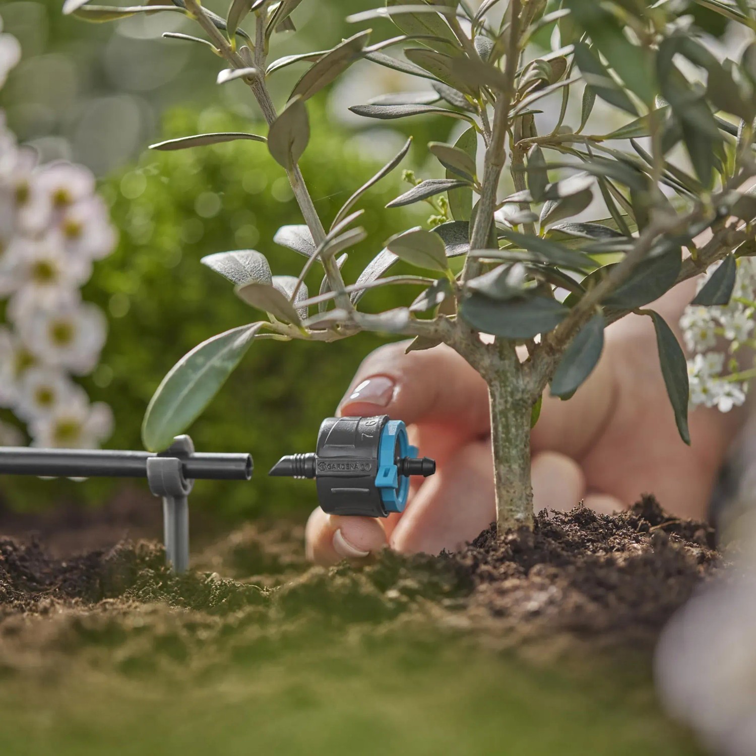 Regulowany kroplownik końcowy Gardena na systemie Micro-Drip do nawadniania roślin.