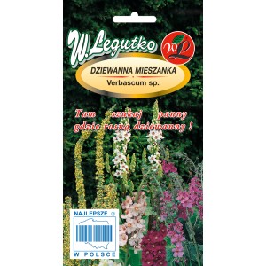Opakowanie nasion dziewanny (Verbascum sp.) mieszanka, różne kolory kwiatów.