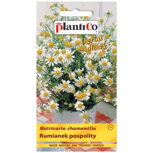 Torebka nasion rumianku (Matricaria chamomilla) do ogrodu ziołowego.