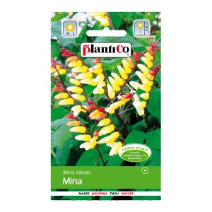 Opakowanie nasion rośliny pnącej Mina Lobata z żółto-czerwonymi kwiatami.