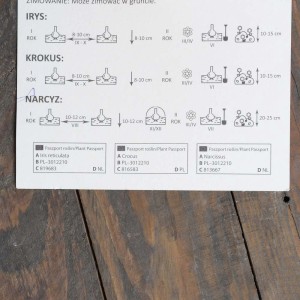 Instrukcja sadzenia irysów, krokusów i narcyzów (cebule kwiatowe) z głębokością i czasem sadzenia.