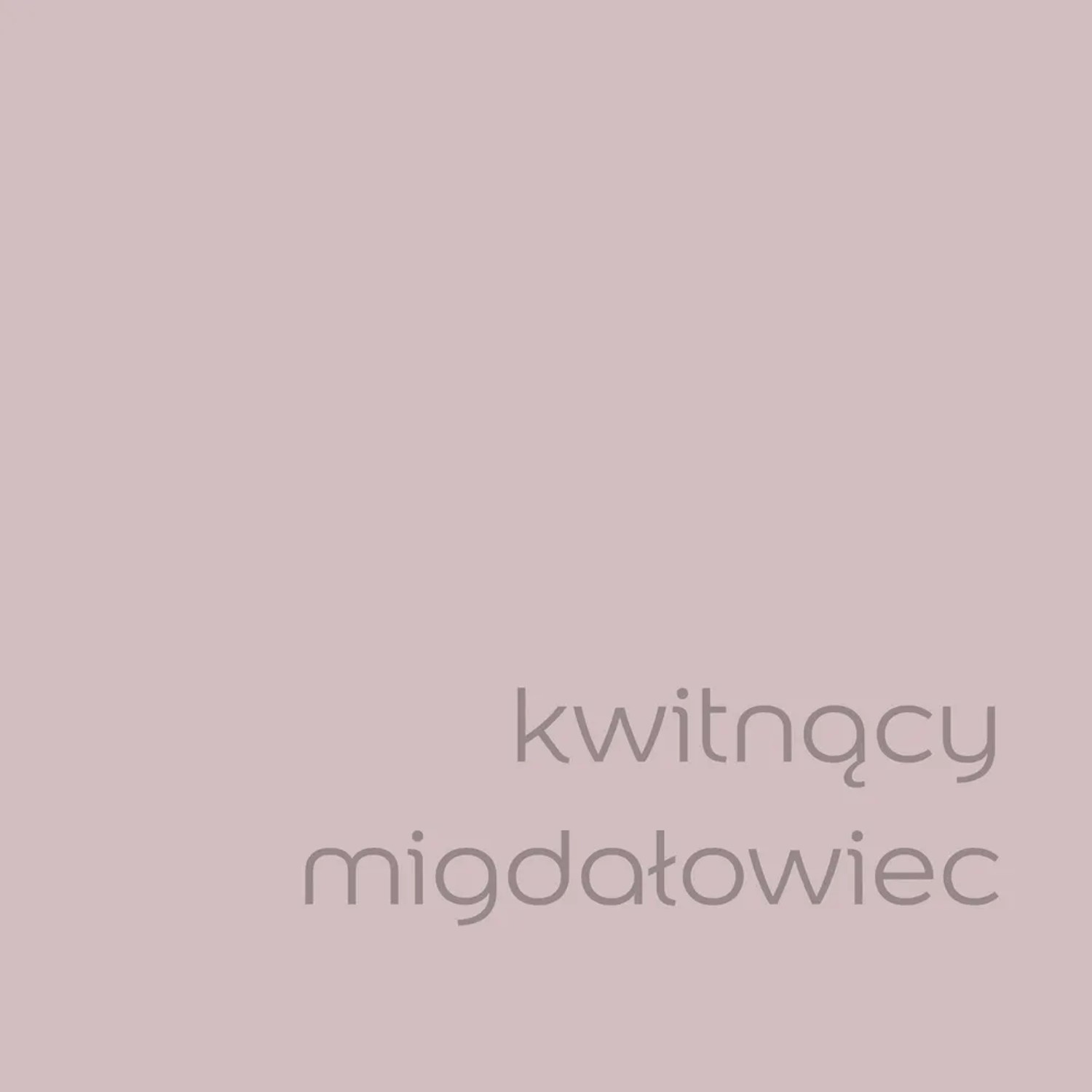 Farba do ścian t.b.t., delikatny odcień. Idealna do kolorowych ścian.