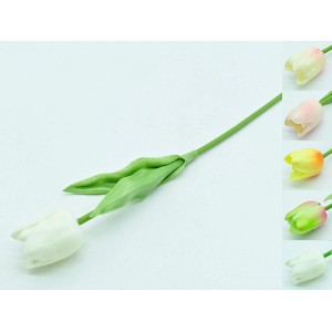 Dekoracyjny tulipan w różnych kolorach do dekoracji ogrodu.