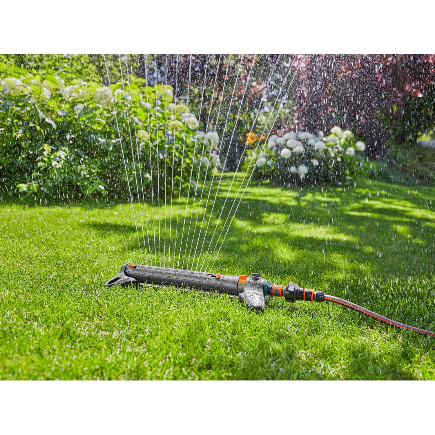 Zraszacz Gardena Aqua Zoom M 250: Zraszacz wahadłowy nawadnia trawnik w ogrodzie.