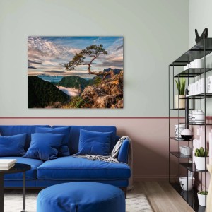 STYLER Obraz Canvas SOKOLICA ST700 85 x 113 cm