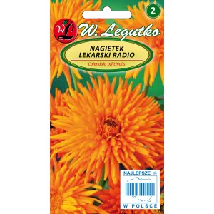 Opakowanie nasion nagietka lekarskiego 'Radio' W. Legutko, pomarańczowe kwiaty.