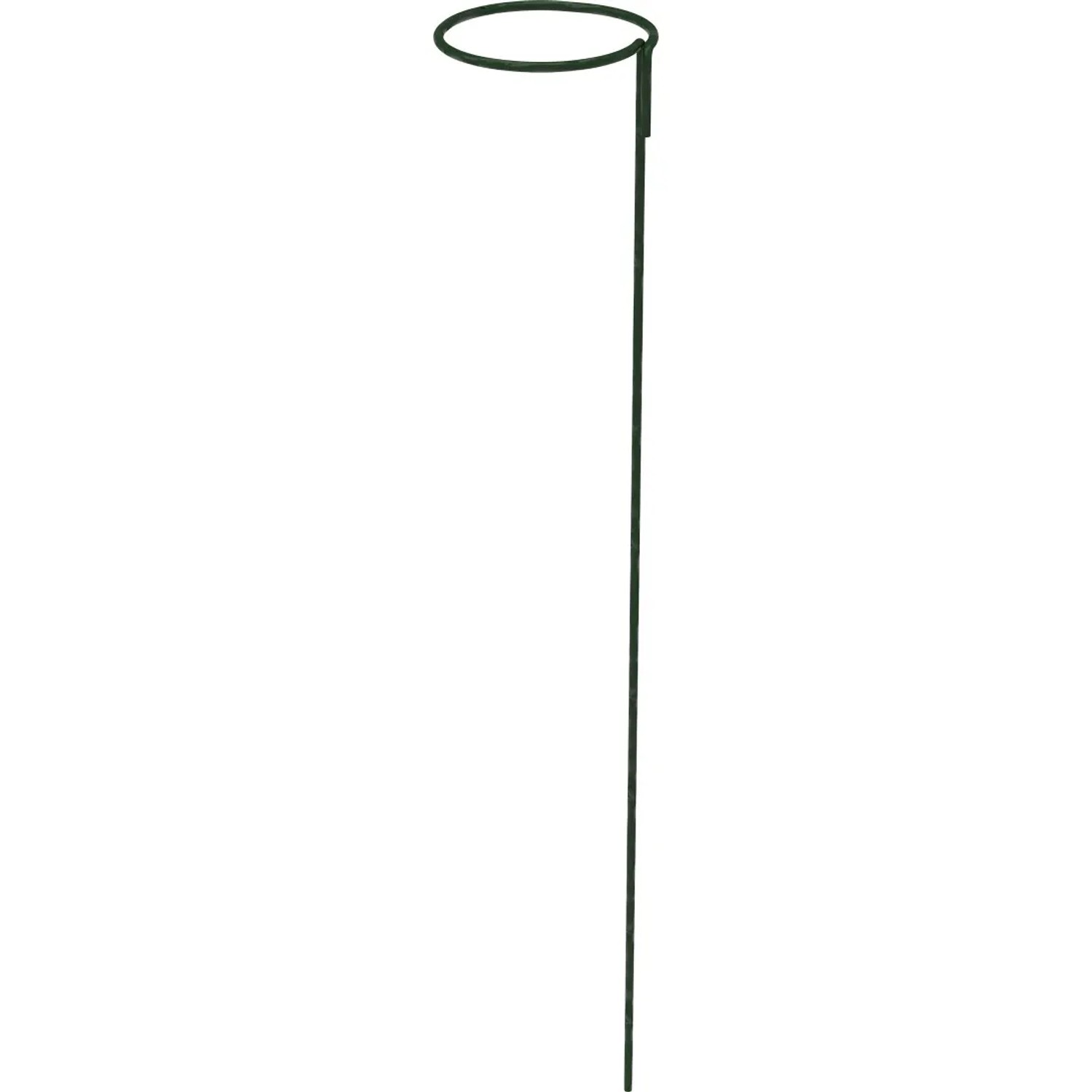 Podpora do roślin z oczkiem zielona - 90 cm