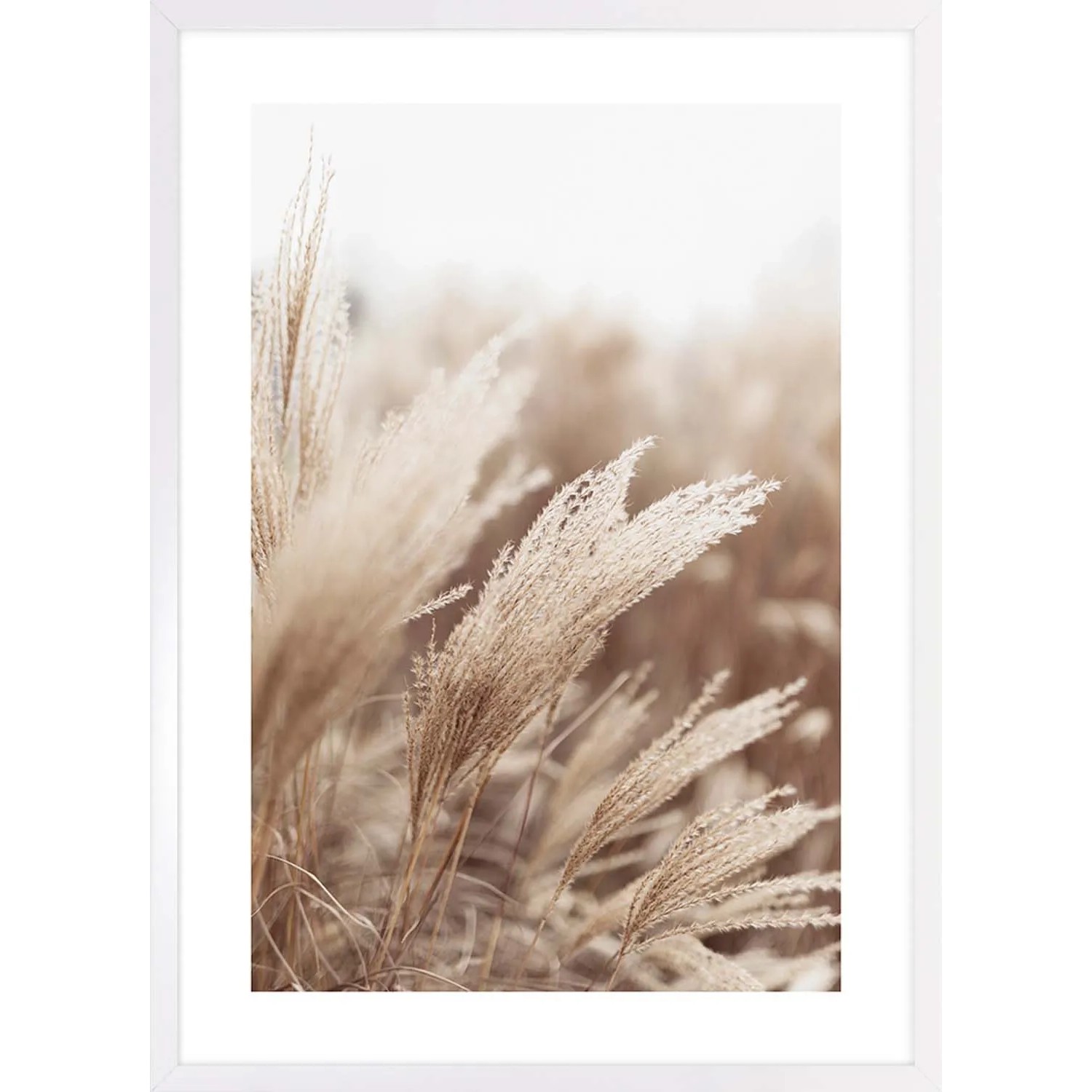 ARS LONGA Obraz GRASS SUN no.1 53 x 73 cm