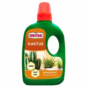 Koncentrat nawozu do kaktusów Substral w zielonej butelce z ilustracją kaktusa.