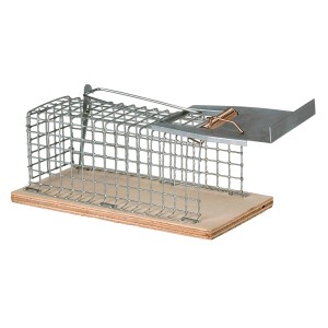 Klatka na myszy: Żywołapka z drutu i drewna, solidna i łatwa w użyciu.