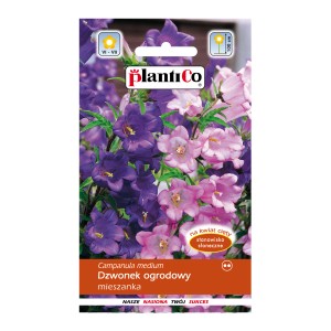 Opakowanie nasion dzwonka ogrodowego (Campanula medium) z fioletowymi i różowymi kwiatami.