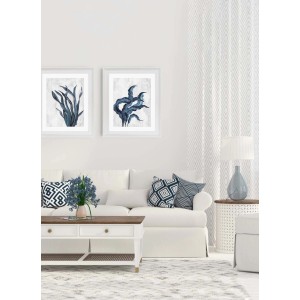 ARS LONGA Obraz SEA PLANT no.1 48 x 58 cm