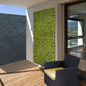 Panel wertykalny Buxus - 1x1 m
