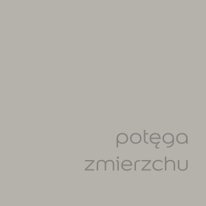Próbka koloru farby ściennej t.b.t. z kategorii Kolorowe farby do ścian.