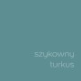 Próbka koloru farby do ścian t.b.t. w eleganckim turkusie.