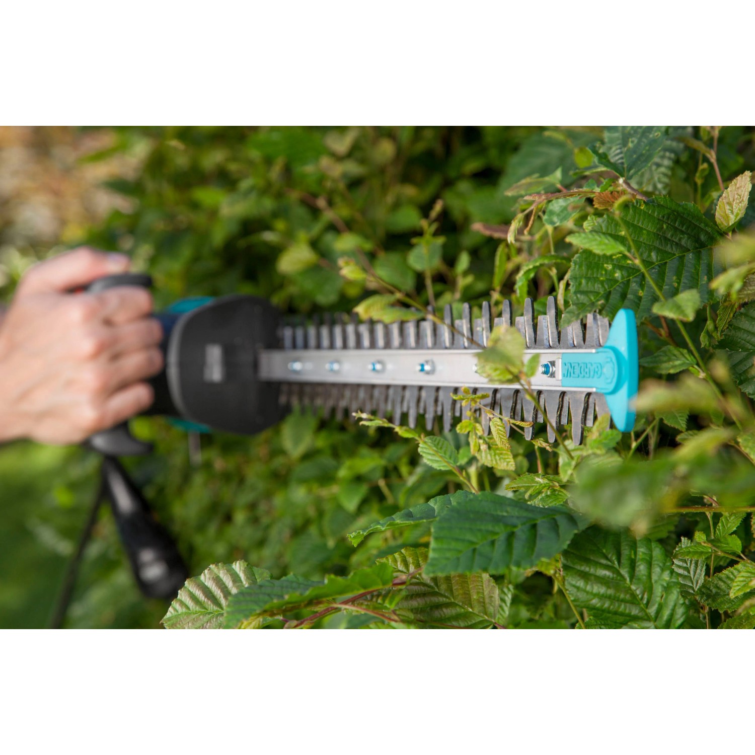 Elektryczne nożyce do żywopłotu Gardena EasyCut 420/45 w użyciu, przycinanie żywopłotu.
