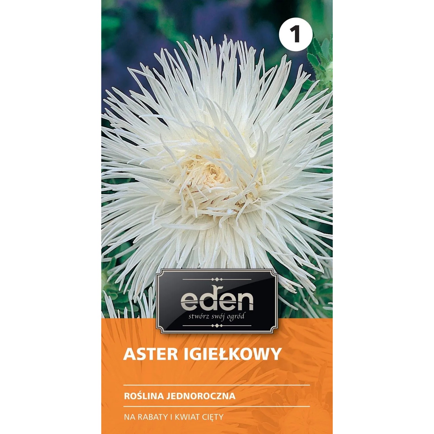 Aster chiński igiełkowy Angora - 0,5 g