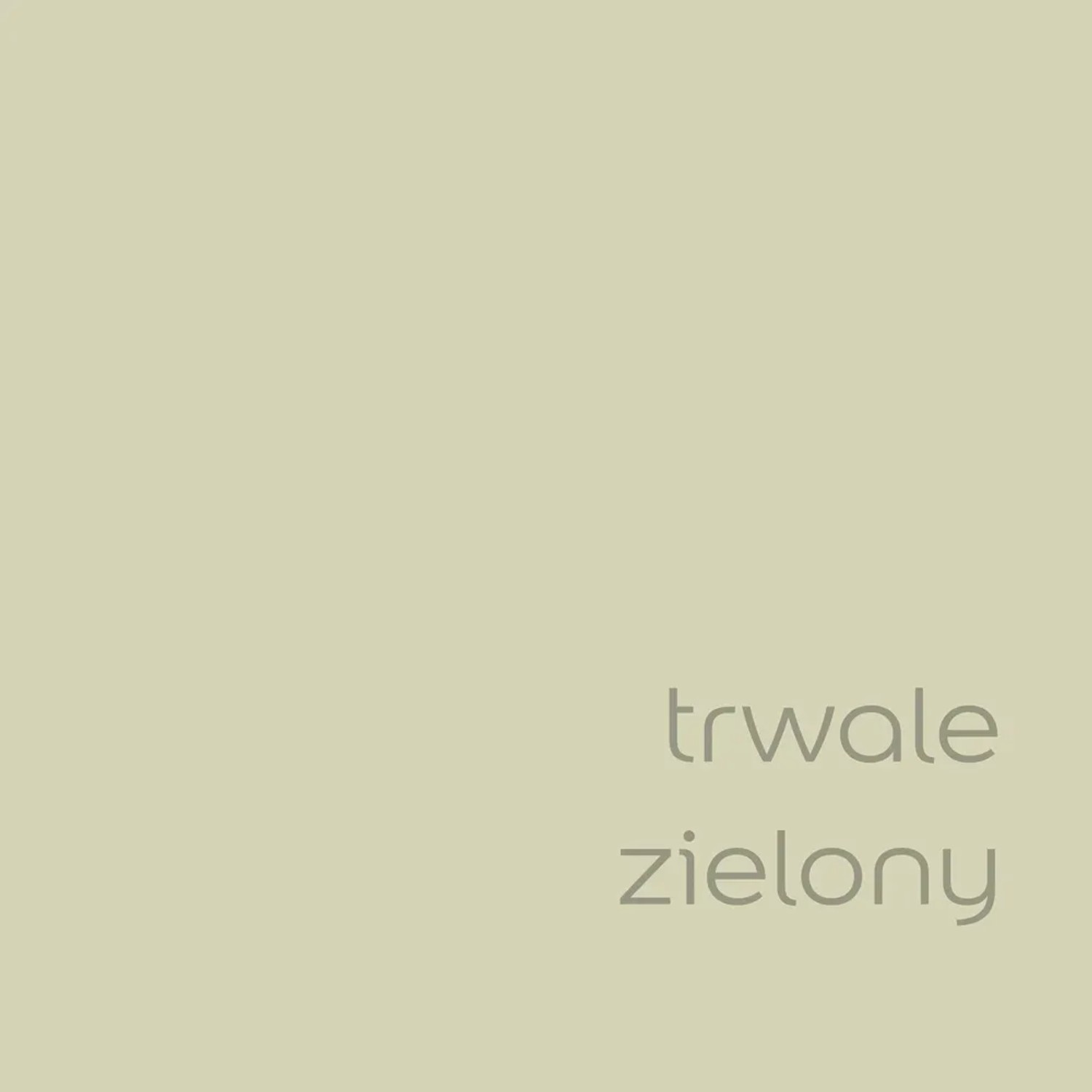 Próbka koloru farby do ścian t.b.t. w delikatnym odcieniu zieleni.