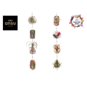 Wisząca dekoracja z oplątw i bromelii o różnych kształtach i fakturach.