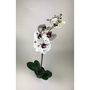 Dekoracyjna sztuczna roślina: Biała orchidea z ciemnymi akcentami w doniczce.