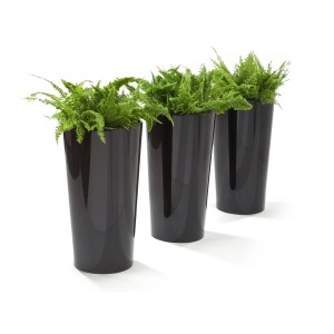 Trzy smukłe, antracytowe doniczki z zielonymi roślinami. Dekoracyjne doniczki do wnętrz.