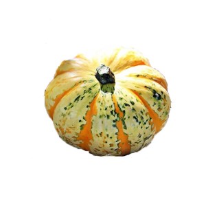 Dekoracyjna tykwa z żółtymi, pomarańczowymi i zielonymi paskami do dekoracji ogrodu.