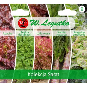 Kolekcja nasion różnych odmian sałat od W. Legutko.