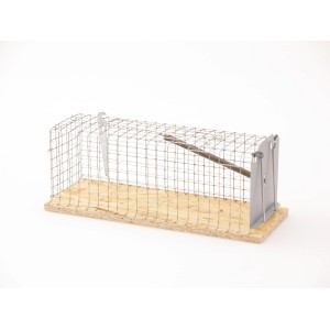 Pułapka koszowa z zapadką na szczury