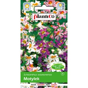 Opakowanie nasion Schizanthus wisetonensis 'Motylek' (wątluszka) z kolorowymi kwiatami.