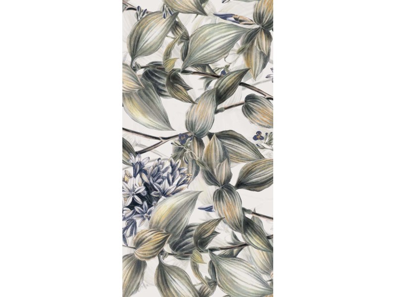 Melia✿です。 image.jpg