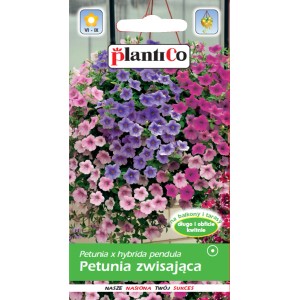Opakowanie nasion petunii zwisającej z kolorowymi kwiatami na balkon i taras.