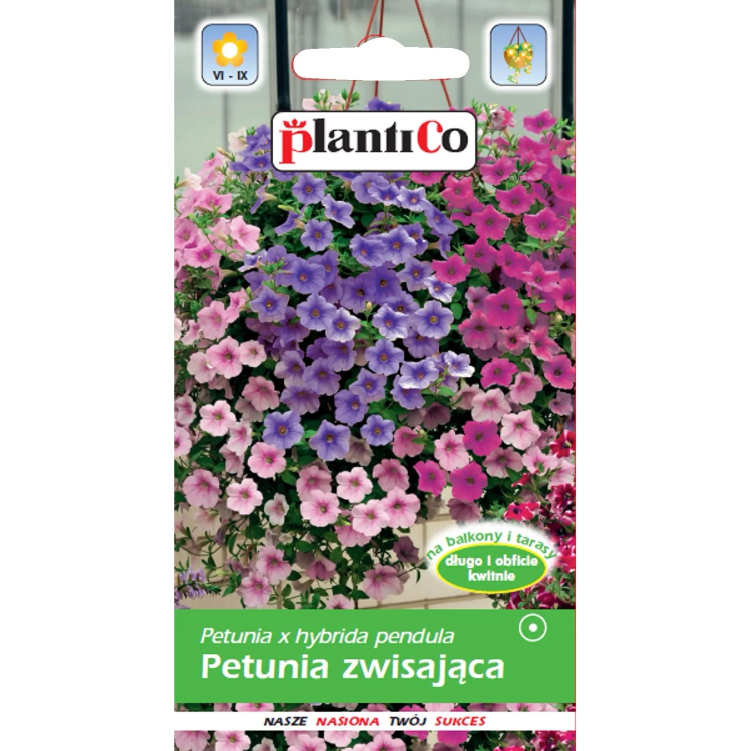 plantiCo Nasiona petunii zwisającej mix 0,05 g