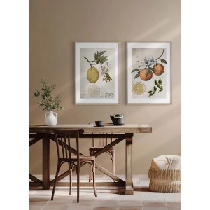 ARS LONGA Obraz LEMONADE LIFE CYCLE 53 x 73 cm