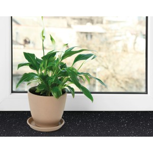 Roślina doniczkowa w beżowej doniczce na parapecie z folią samoprzylepną.