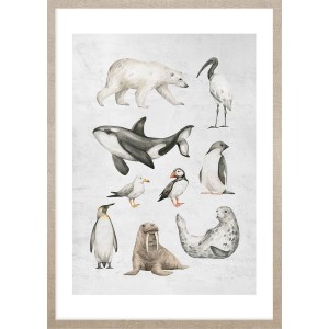 ARS LONGA Obraz OCEAN ANIMALS 53 x 73 cm