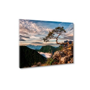 STYLER Obraz Canvas SOKOLICA ST700 85 x 113 cm