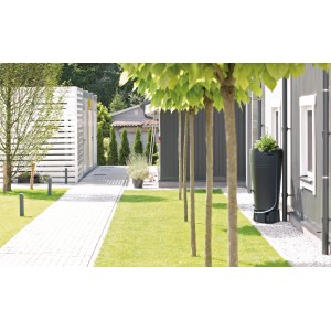 Antracytowa Waterform Regentonne Tube 230 l w ogrodzie, obsadzona roślinami.