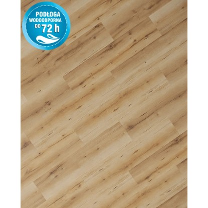 Classen Panel podłogowy Dąb Clermont 8 mm AC 5 72h