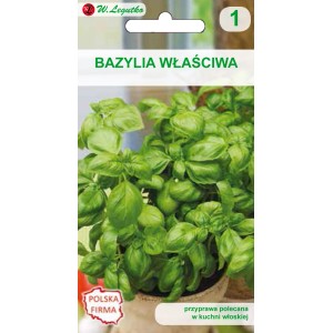 Zdjęcie nasion bazylii, idealne do ogrodu ziołowego.