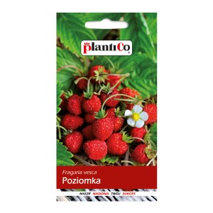 Kup nasiona poziomek (t.b.t.) w sklepie internetowym OBI.