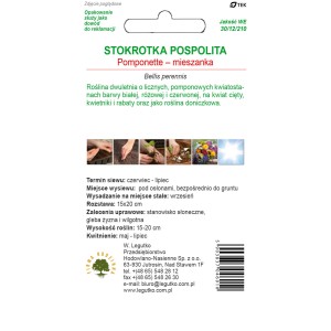 Nasiona stokrotki 'Pomponette': Mieszanka do kolorowych rabat kwiatowych.