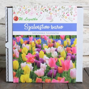 Opakowanie mieszanki tulipanów "Szaleństwo barw" W. Legutko, kategoria cebulki kwiatowe.