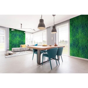 Salon z mchem na ścianie, stołem i sofą. Farby do efektów.